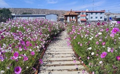 新金瓶龚玥菲电影3d